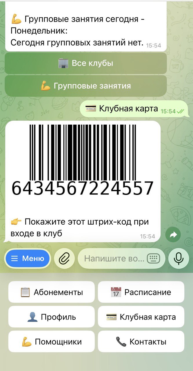 FitBot Assistant Interface